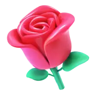 Rose gift